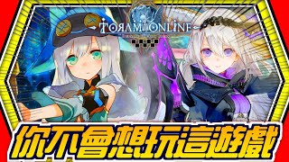 托蘭異世錄【最正統的MMORPG🔥】我很喜歡這遊戲💥但你不會想玩的【トーラムオンライン│Toram Online│托蘭異世錄】海尼根