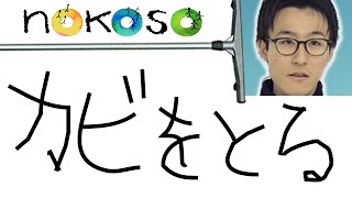 お風呂場のカビ掃除代行業者|兵庫県神戸市東灘区のプロ集団NOKOSO！