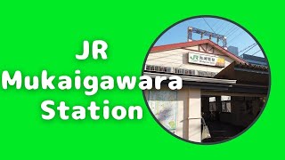 Walk around JR Mukaigawara Station　JR向河原駅周辺をあるく