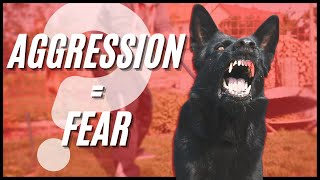 Why Your Aggressive Dog is Actually Fearful