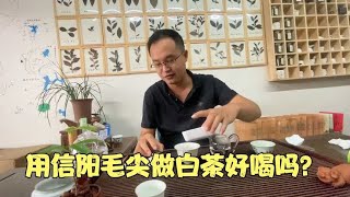 用信阳毛尖做白茶好喝吗？