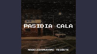 Pasidia Cala