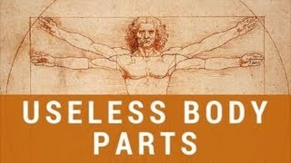 5 Useless Human Body Parts You Don't Need - Evolution Leftovers