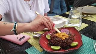 Native Peruvian Tries Sea Urchin for the FIRST TIME!!