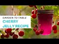 Easy and Delicious Homemade CHERRY JELLY Recipe | Garden to Table