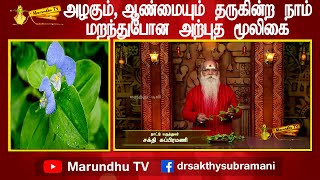 அழகும்  ,ஆண்மையும் தருகின்ற நாம் மறந்துபோன அற்புத மூலிகை !!!