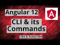 #5 Angular 12 Angular CLI  and CLI Commands