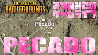 【PUBG】女子DUO♡超絶ビビりの芋子がPECADO＆学校縛りに挑戦してみた！【女性実況】