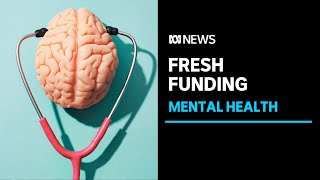 Mental health services receive vital funding in the NT | ABC News