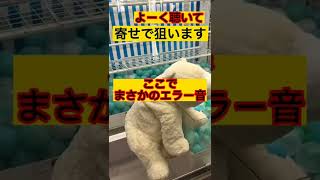 クレーンゲーム　これはすごい！エラー音があれに聴こえる！？よーく聴いてみて　ショーこ～　#shorts　 #clawmachine #round 1 arcade claw machine