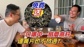 一口喝中一扇磨高杆！老高連簧片也不放過？大氣免費送茶友？购茶请加微信/赖line：HDLG002#普洱茶#古树茶#老班章#古树茶#茶#茶叶#茶葉#古樹茶 #普洱茶wechat #tea