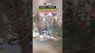 當代大學生主打一個遇事不慌！ 男生上廁所時碰到停水，淡定提水桶到溪邊打水 #瀟湘晨報 #社會新聞 #中國新聞 #社會日常 #shorts