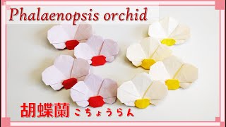 【折り紙　花】美しい花を折ろう！「胡蝶蘭」の作り方！ / origami Phalaenopsis Orchid tutorial