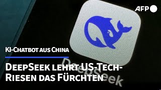 KI-Chatbot DeepSeek aus China lehrt US-Konkurrenz das Fürchten | AFP