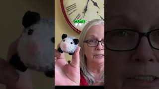 Unleashing the Cutest Acrylic Yarn Creation Opossum Transformation
