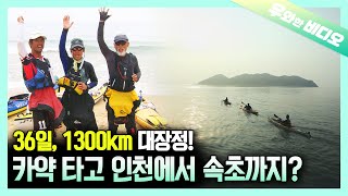 서해에서 남해를 거쳐 동해까지 카약 타고 간다고?┃Kayaking From the West Sea to the East Sea via the South Sea?