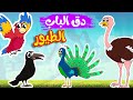 أغنية دق الباب الطيور 1 -  قناة أسرتنا