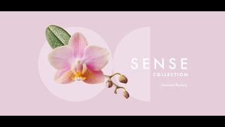 Opti-flor Sense Collection