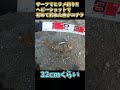 サーフでヒラメ釣り！ヘビーショットで初めて釣れた魚が〇〇だった shorts fishing