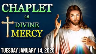 TODAY'S Divine Mercy Chaplet Tuesday January 14 2025