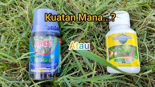 Review Perbedaan Antara Insektisida Ares 100 SL dengan Dharmasan 600 EC