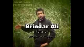 delale delale BRİNDAR ALİ