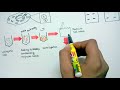 co immuno precipitation