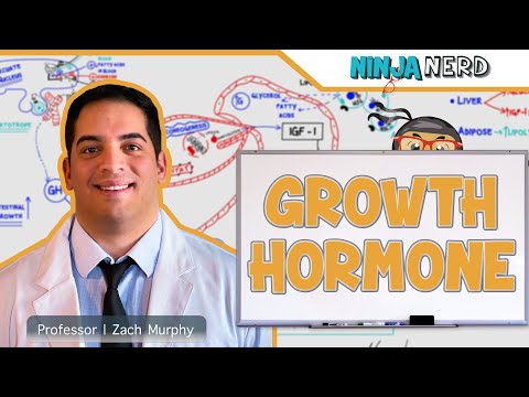 What is the name of growth hormone?