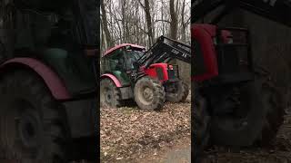 ZETOR 7341 pulling logs #zetor #tractor #sound #forestry #shorts