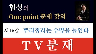 [TV분재] 협성의 One Point 분재강의 제 16강 '뿌리정리는 수명을 늘인다'