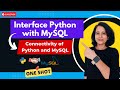 Interface Python with MySQL | Class 12 Computer Science | Python - MySQL Connectivity