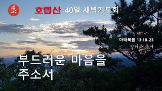 [빛교회] 부드러운 마음을 주소서 ㅣ 양태우 목사 220615