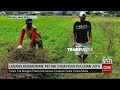 Ladang Kebanjiran Petani Cabai Pacitan Rugi Puluhan Juta Rupiah