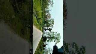 Birpara Tea Garden To Bandapani Time-lapse 🚘🎥 #shorts #youtubeshorts #ytshorts #viral #cabservice