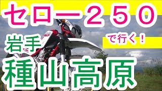 セロー２５０で行く！岩手、種山高原！からの林道！！