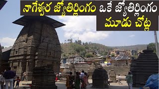 Nageshwar jyotirling temple controversy/nageshwar temple history/Aundha nagnath temple/nagesam