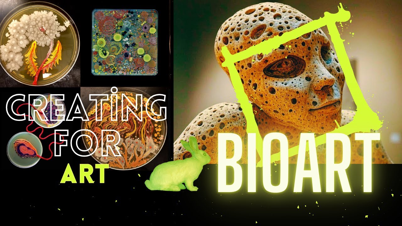 Bioart Creating For Art Youtube