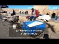 vlog 2024 12 最新 モロッコ エッサウィラ 可愛い猫と歴史観じる中東の港町