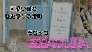 [Vlog] 2024/12 最新 モロッコ エッサウィラ 可愛い猫と歴史観じる中東の港町