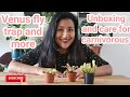 Unboxing Carnivorous plants ×3 + Plant Care Sarracenia, Venus, Drosera- Ruby's Plants