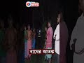 kakdwip দক্ষিণ ২৪ পরগনার কাকদ্বীপের নান্দাভাঙ্গা এলাকায় ছড়ালো বাঘের আতঙ্ক