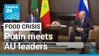 Kremlin denies blame for mounting food crisis as Putin meets African Union leaders • FRANCE 24