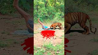 8 July 2024 tiger attack to man