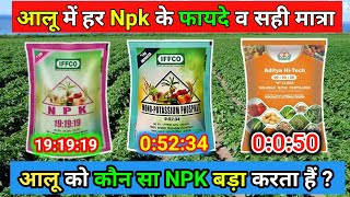 आलू में कौन सी Npk कब स्प्रे करें | Aloo Me Npk Ke Spray Ke Fayde | Alu Me Npk Kab Spray Kare |