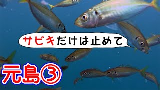 【釣り場紹介】和歌山県 田辺市【元島 小元島3】サビキ釣りでアジを狙えば爆釣間違いなし。アオリイカやグレも狙えるよ。水中映像有り。天神崎近く