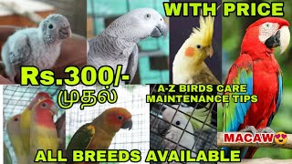 ரூ.300/- முதல் | Birds For Sales | With Price | Delivery Available | Tamed birds | Lavitricks