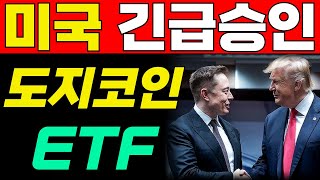 도지코인 ETF 승인📣 트럼프와 머스크의 합작이네요. 홀더분들 축하드립니다🎊