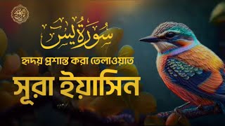 প্রতিদিন আমলের জন্য আবেগময়য় কণ্ঠে সূরা ইয়াসিন ।Surah Yasin( سورة يس) Recited By Alaa Aqel