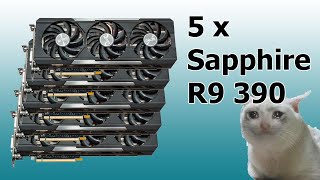 5 Sapphire Nitro R9 390 GPUs! How many can I fix?