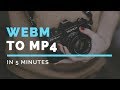 How to convert webm to mp4 offline